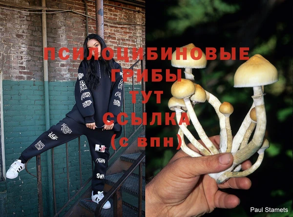 герыч Абинск