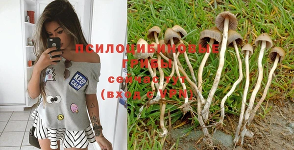 не бодяженный Абаза