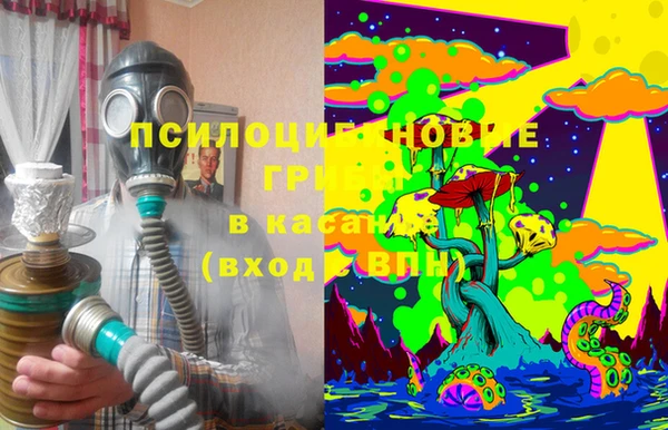 ГАЛЛЮЦИНОГЕННЫЕ ГРИБЫ Абдулино