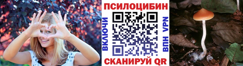 MEGA ONION  цена   Руза  Псилоцибиновые грибы прущие грибы 